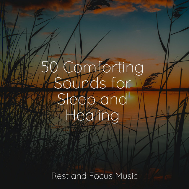 50 Comforting Sounds for Sleep and Healing - Album by Baby Sweet Dream ...