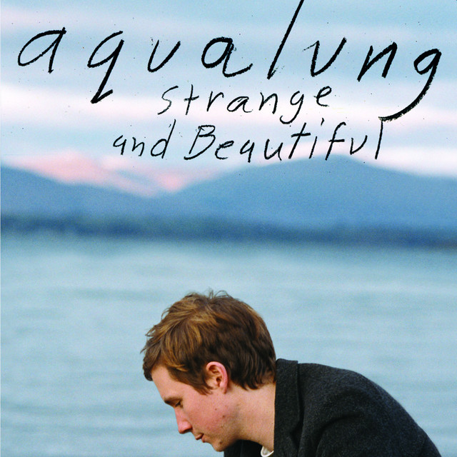 Strange & Beautiful cover art