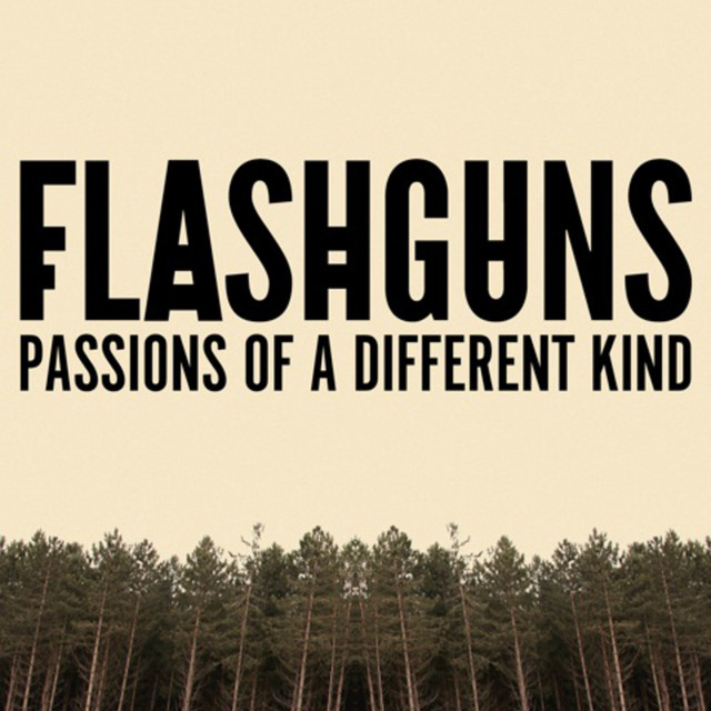 Passions Of A Different Kind cover art