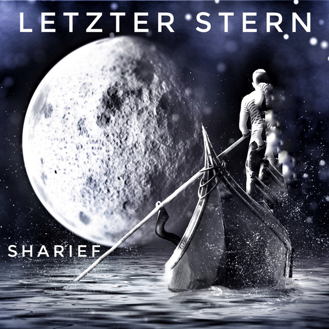 Letzter Stern cover