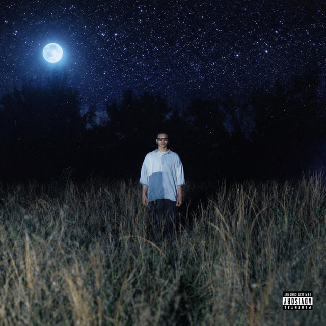 PERFECTION cover art
