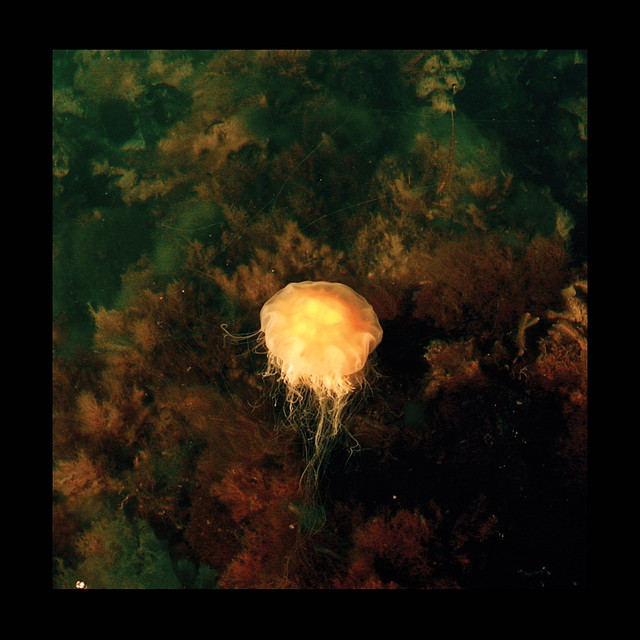 Archipelago Matters cover art