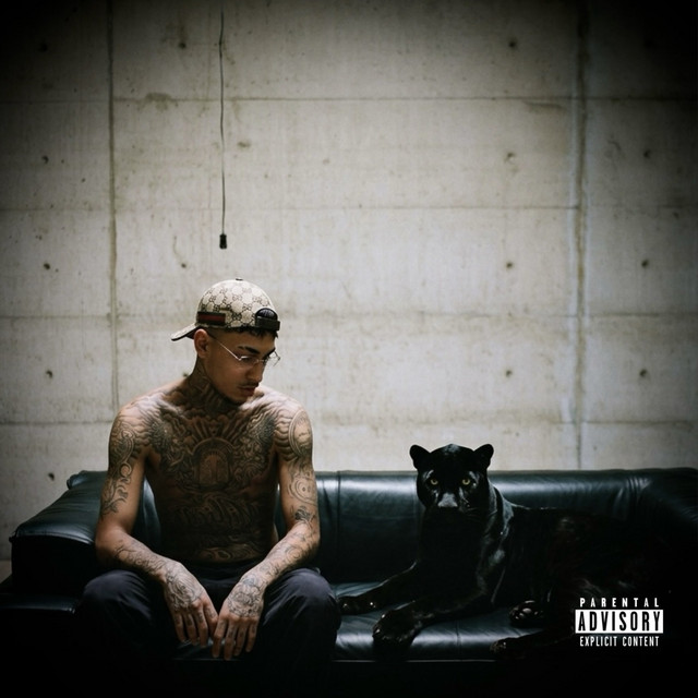 Plan B Freestyle