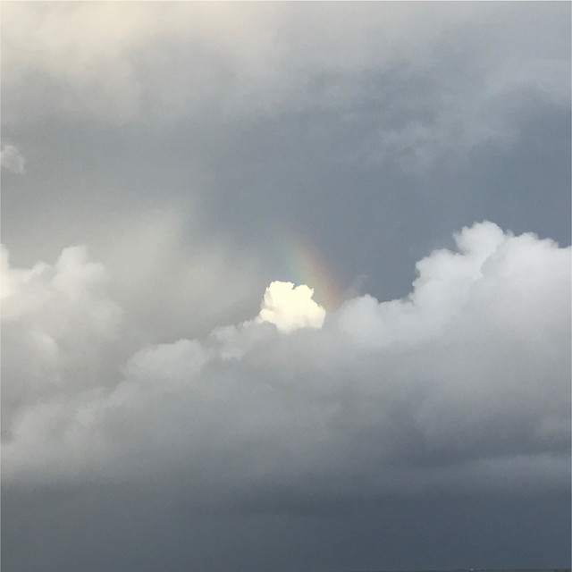 세 곡 cover art