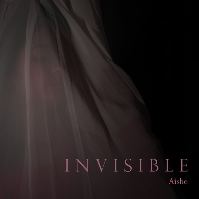 Invisible cover art