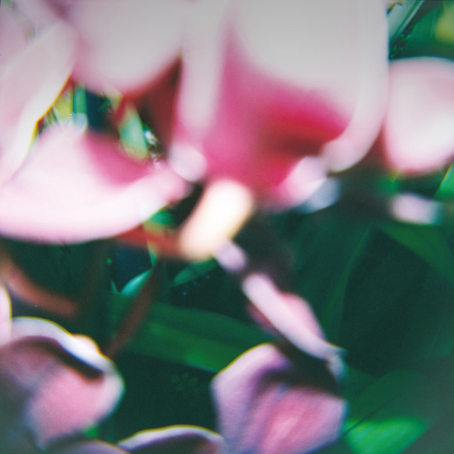 You Make Everything Disappear cover art