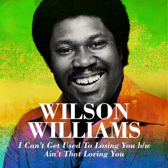 I Can't Get Used To Losing You b/w Ain't That Loving You cover