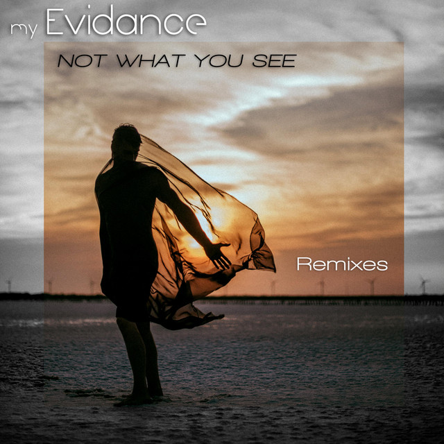Not What You See (Remixes) cover