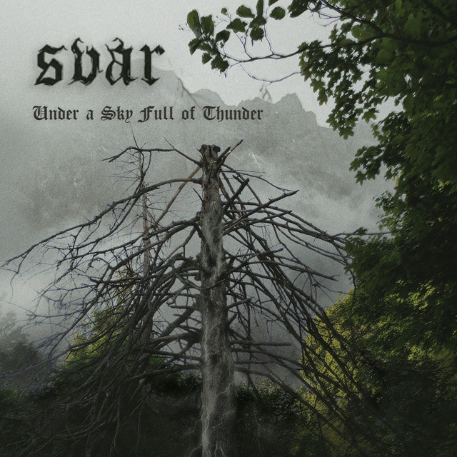 Under a Sky Full of Thunder cover art