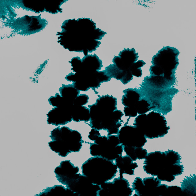 Nictophilia cover art