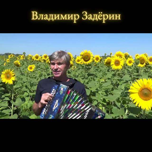 Владимир Задёрин