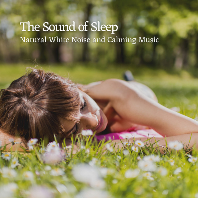 The Sound of Sleep: Natural White Noise and Calming Music cover art