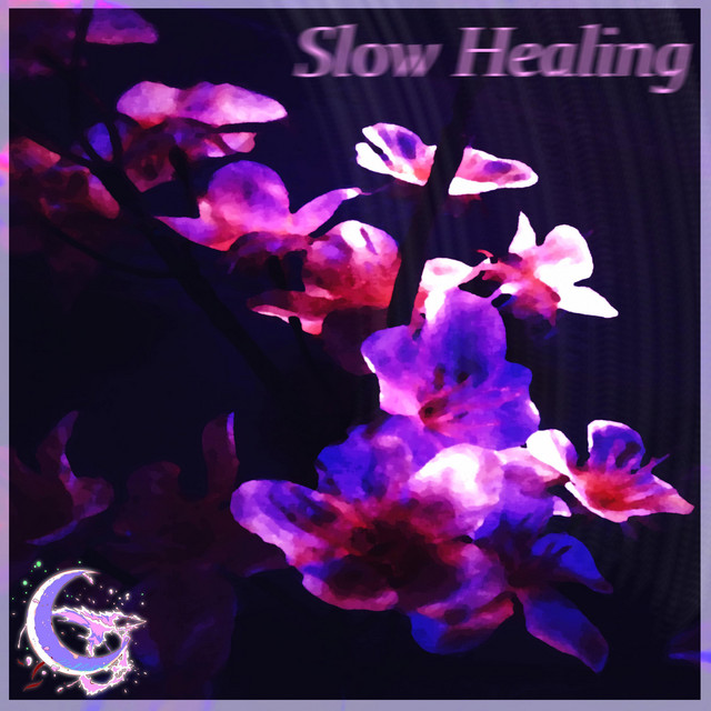 Slow Healing cover art
