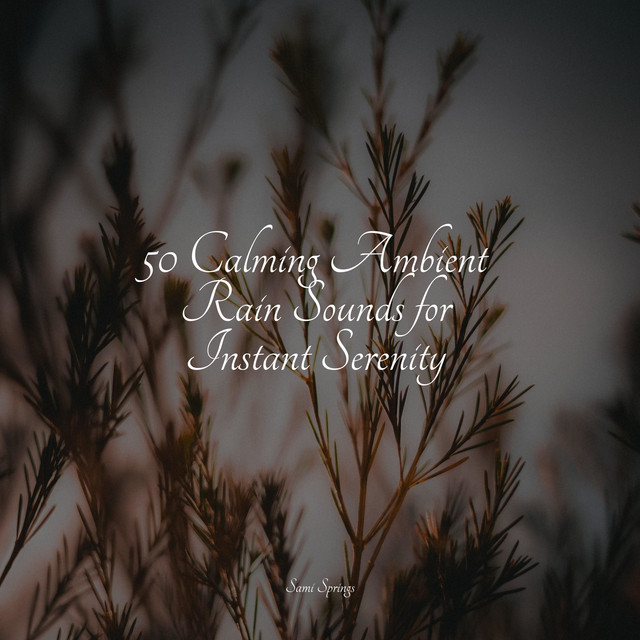 50 Loopable Rain Sounds for Sleep and Serenity - Album by Naturaleza ...