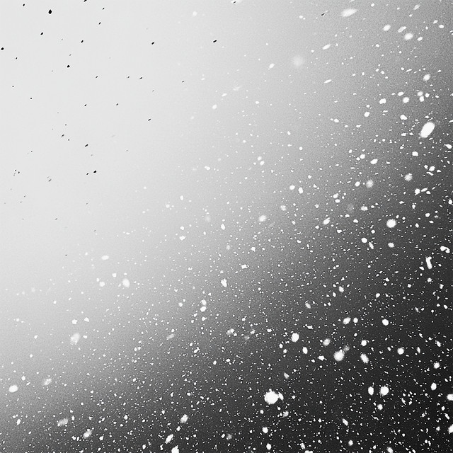 I FEEL SO COLD cover