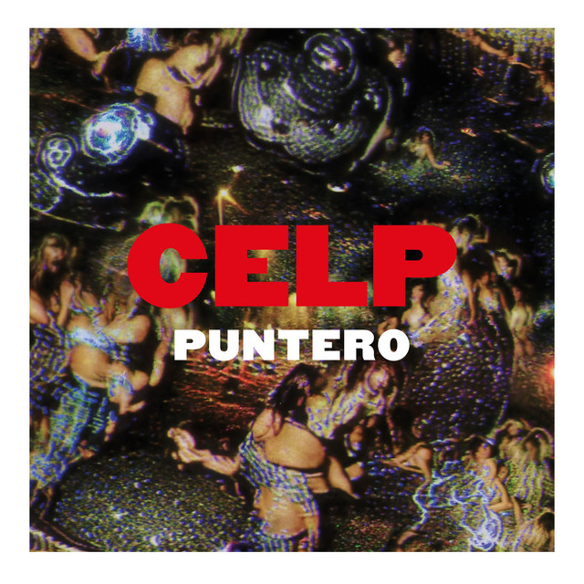 Puntero cover art