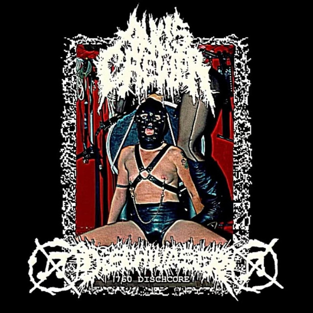 ANUS CHEWER / DISCHWASER SPLIT cover art