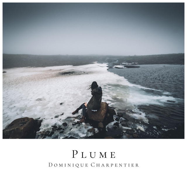 Album artwork for Plume by Dominique Charpentier
