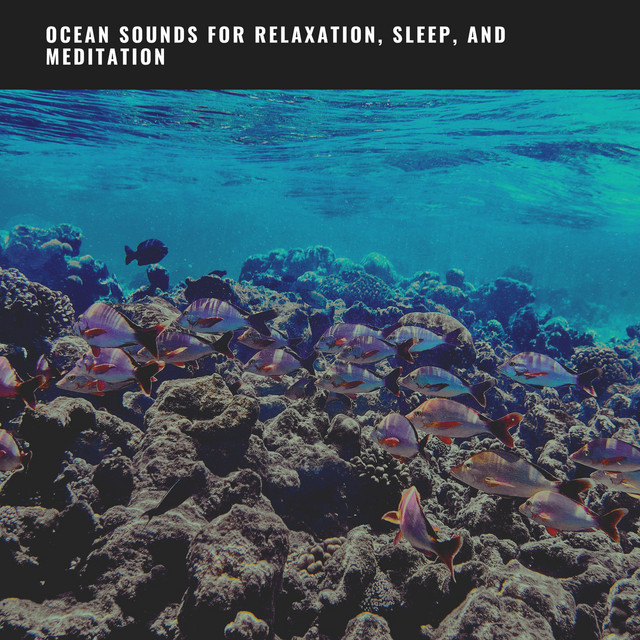 The Sound of the Sea: Ocean Sounds for Relaxation, Sleep, and ...