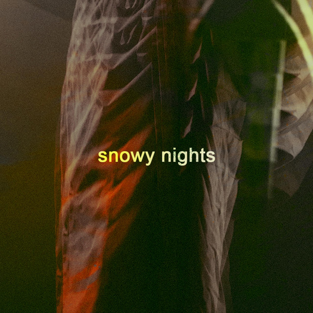 Snowy Nights cover art
