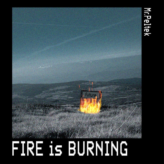 Cover art: fire is burning — Mr.Peltek