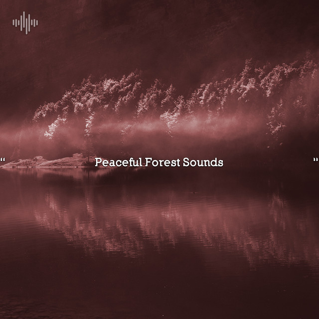 " Peaceful Forest Sounds " - Album by Deep Sleep | Spotify