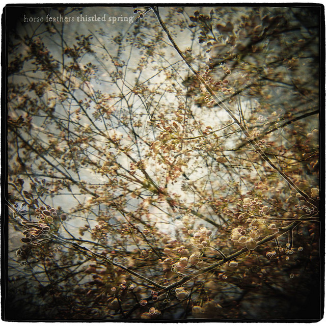 Thistled Spring cover art