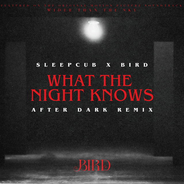 What The Night Knows (After Dark Remix) cover art