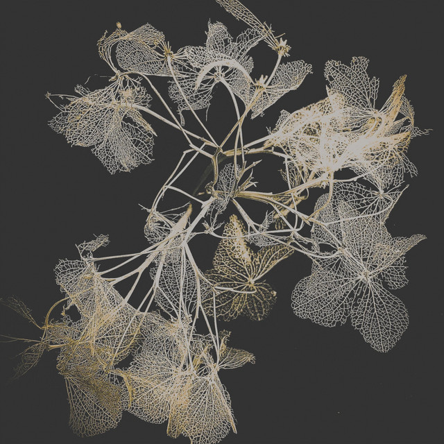 Bangalô cover art