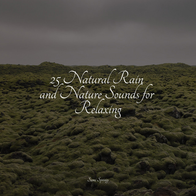 25 Natural Rain and Nature Sounds for Relaxing - Album by Heavy Rain ...