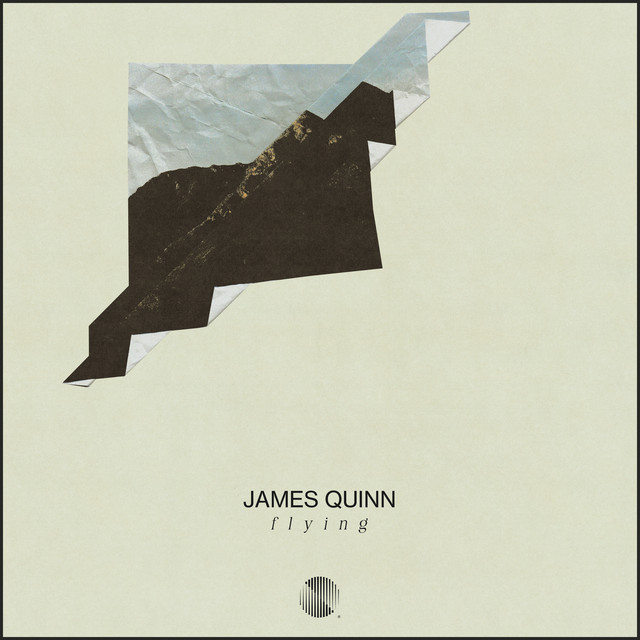 Flying cover art