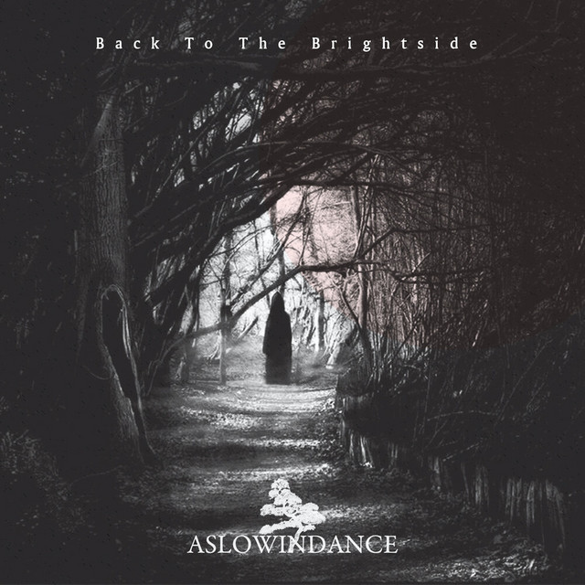 Back to the Brightside cover art