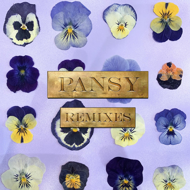 PANSY REMIXES cover art