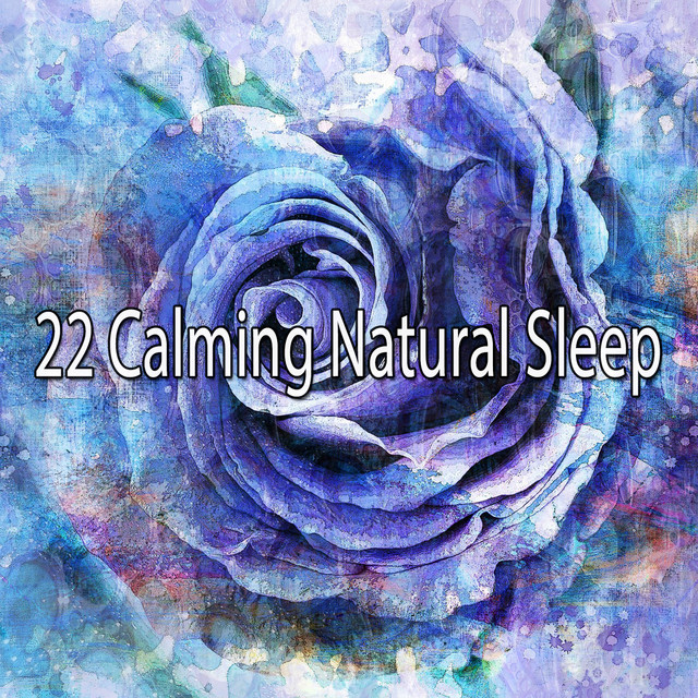 22 Calming Natural Sleep - Album by Sounds Of Nature | Spotify