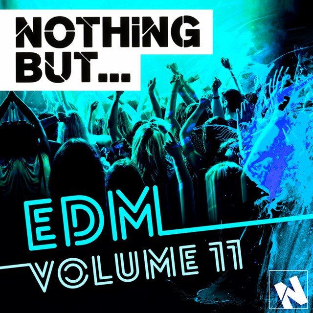 Nothing But... EDM, Vol. 11 cover art