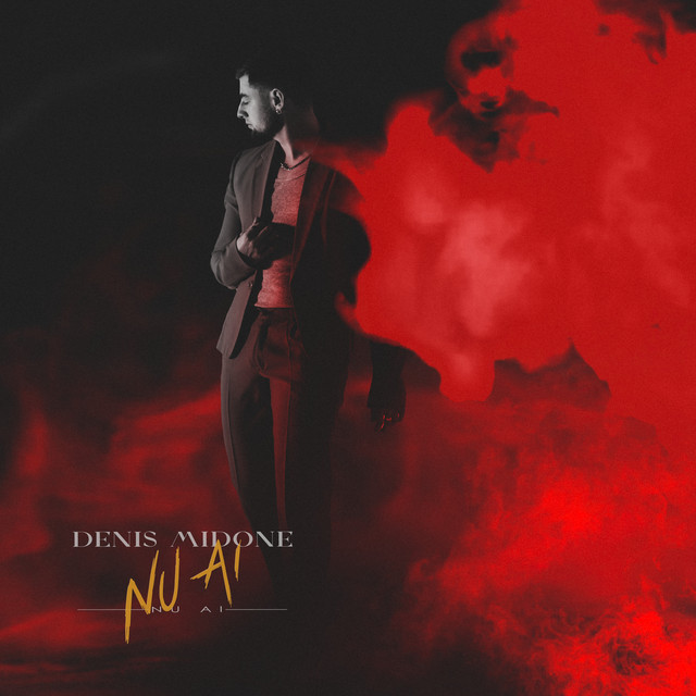 Nu ai cover