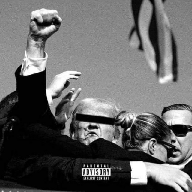 Rollercoaster cover