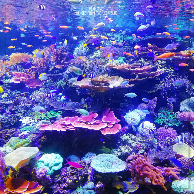 Echoes from the Deep Blue