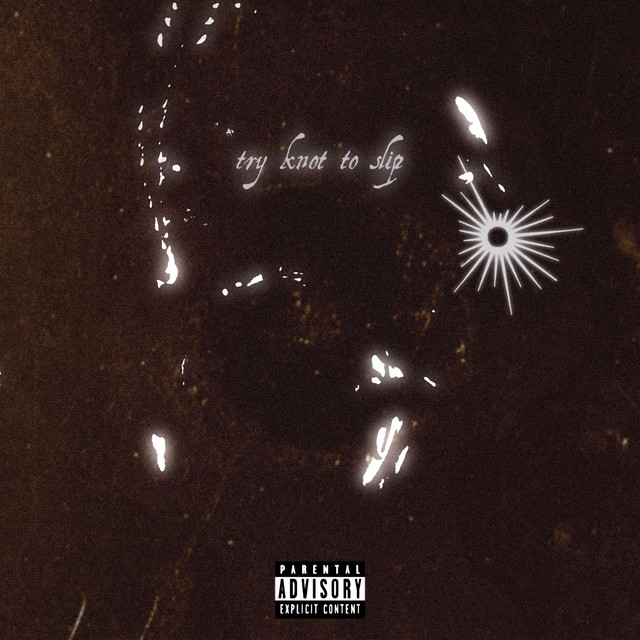 TRY KNOT TO SLIP cover art
