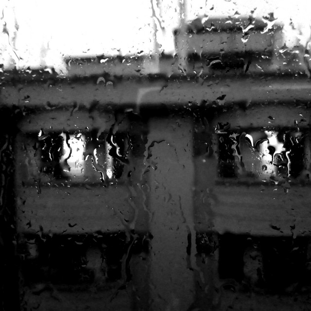 Jungle Rains cover art