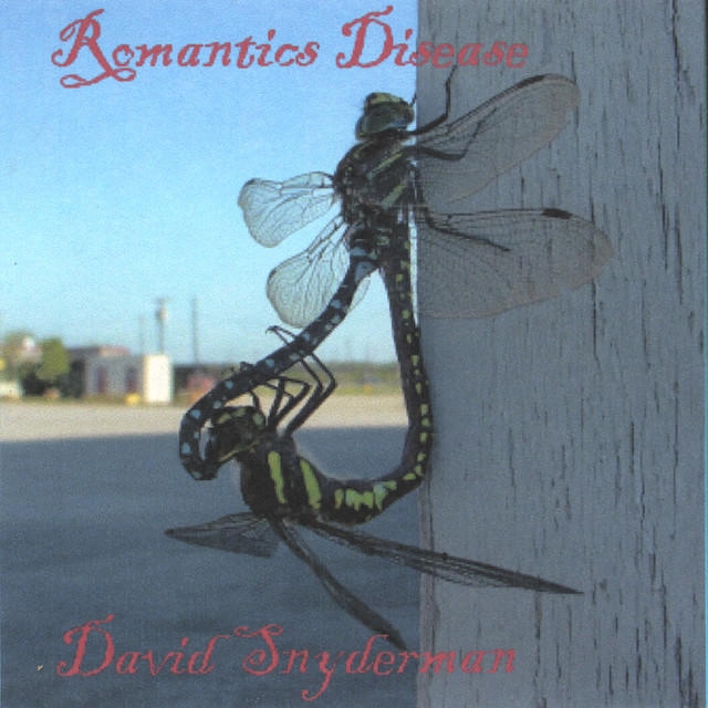 Romantic's Disease cover