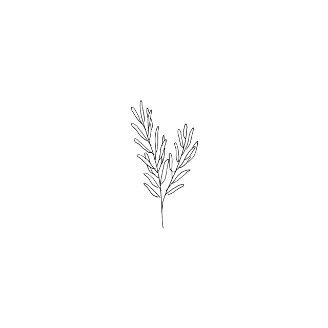 1 2 3 4 cover