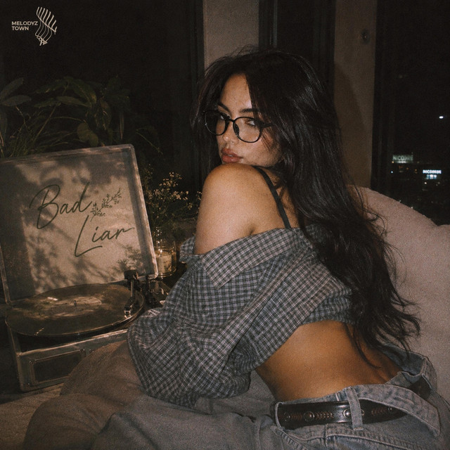 Bad Liar album image