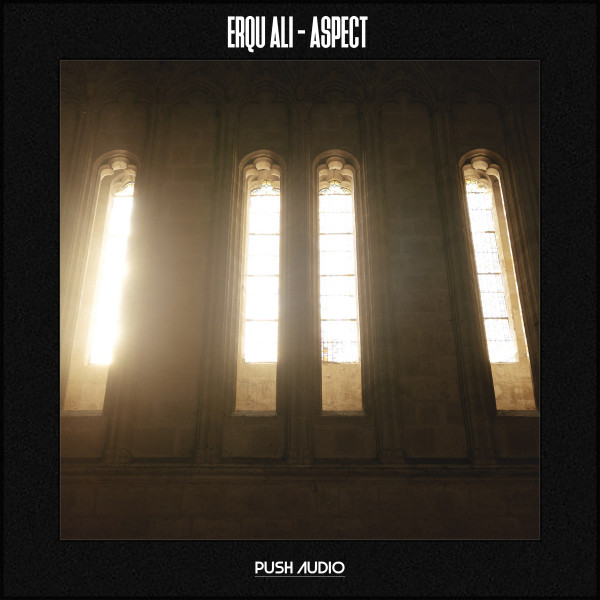 Aspect - Single by Erqu Ali | Spotify