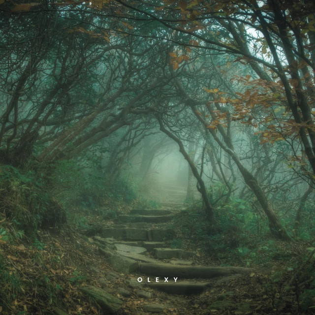 Обкладинка: In a magical forest — Lesfm