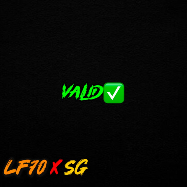 VALID cover art