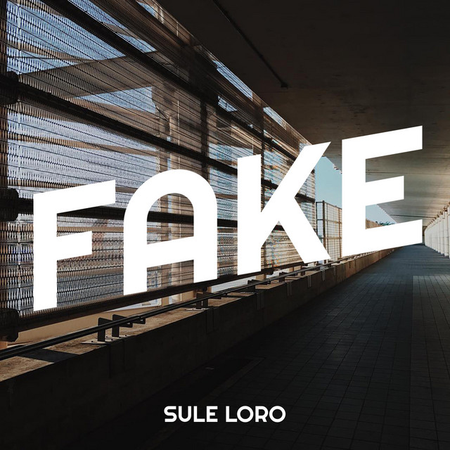 Fake - Single by Sule Loro | Spotify