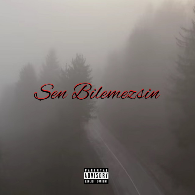Sen Bilemezsin by Kadir Mihran