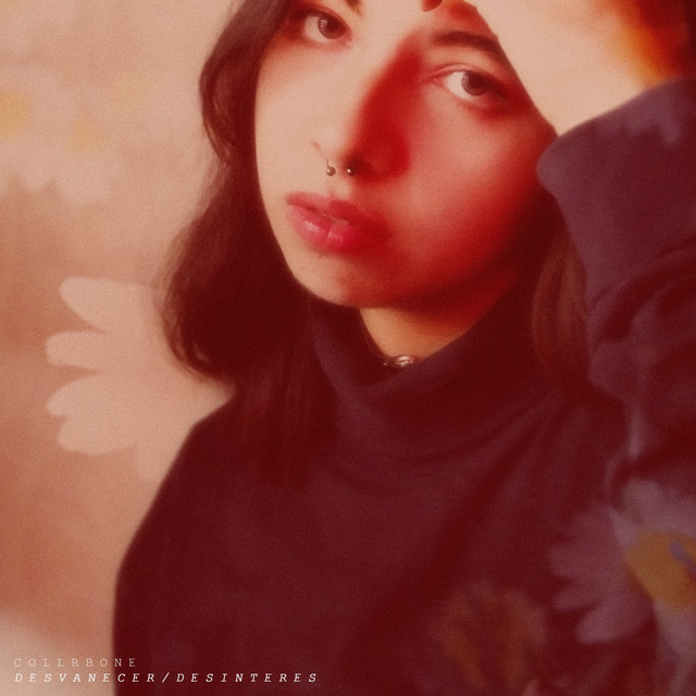 Desinterés - Desvanecer cover art