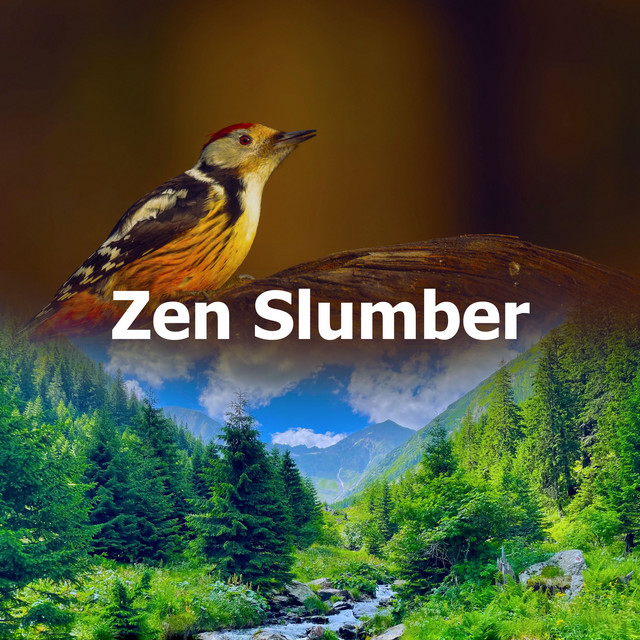 Zen Slumber - Album by Nature Sounds for Sleep and Relaxation | Spotify